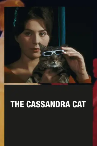 Bir Gün, Bir Kedi